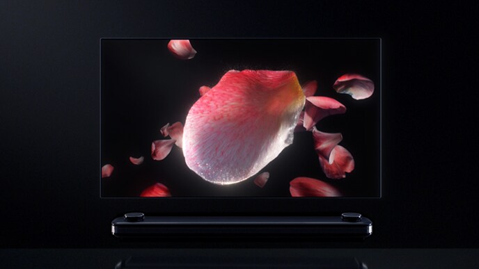 Imaginea florală este completată pe ecranul televizorului LG SIGNATURE OLED W.